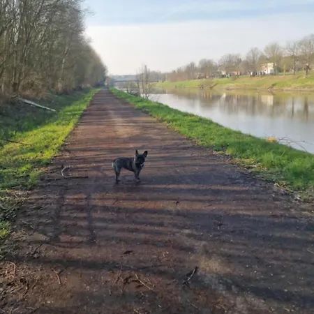 Ulala Charleroi Airport Bruxelles *