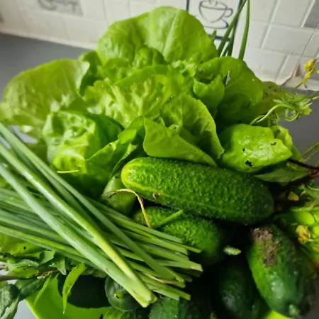 Ulala Charleroi Airport Bruxelles