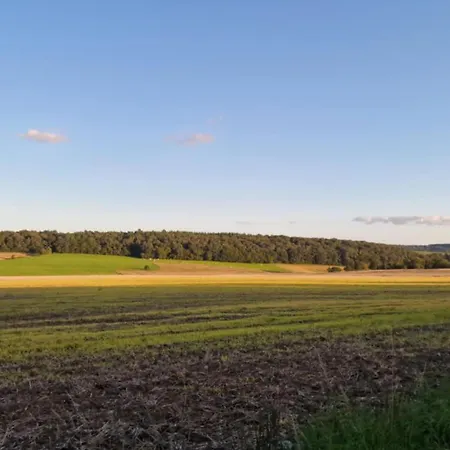 Ulala Charleroi Airport Bruxelles Pont-à-Celles